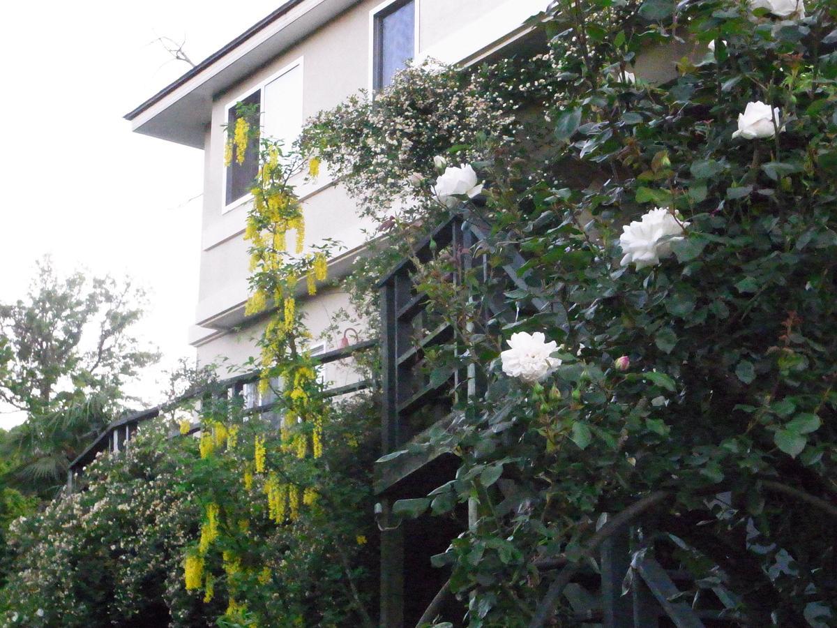 Chiisana Hotel Hanaikada Ito  Dış mekan fotoğraf